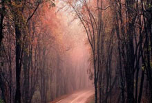 开云下载-西甲魔翼空降！揭秘XX队天价签约如何颠覆联赛格局