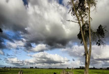 开云平台-西雅图海湾者训练基地开放，备战世俱杯进入冲刺阶段