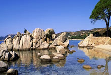 开云体育在线-悬念式用“沸腾之夜”“弑旧主”“五年新高”制造多重爆点电影化叙事：通过特写镜头（欧文抹汗/东契奇喘气/西蒙斯掏球）增强画面感战术深度：拆解挡拆配合、空间布局、防守策略等专业维度数据锚点：关键数据融入场景（15进攻篮板转化22分/西蒙斯在场效率值）金句记忆点：“没人能喘着气离开巴克莱中心”“摔跤笼生死斗”等强化球队气质情绪递进：从赛场厮杀→战术革命→争冠野心的三层升华