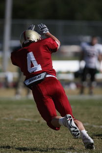 开云体育官网-河床防守体系稳固，力求半决赛再创佳绩