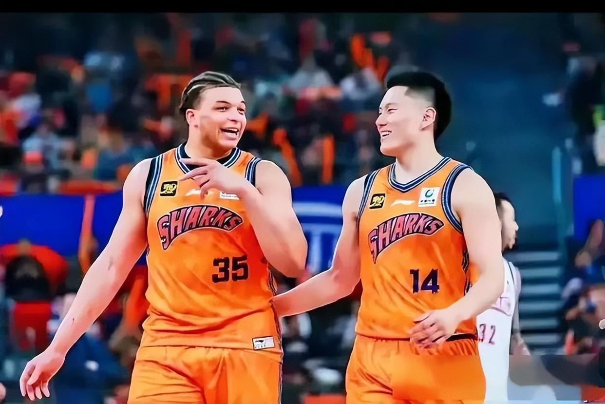 上海大鲨鱼阵容庞大，实力逐渐提升的简单介绍