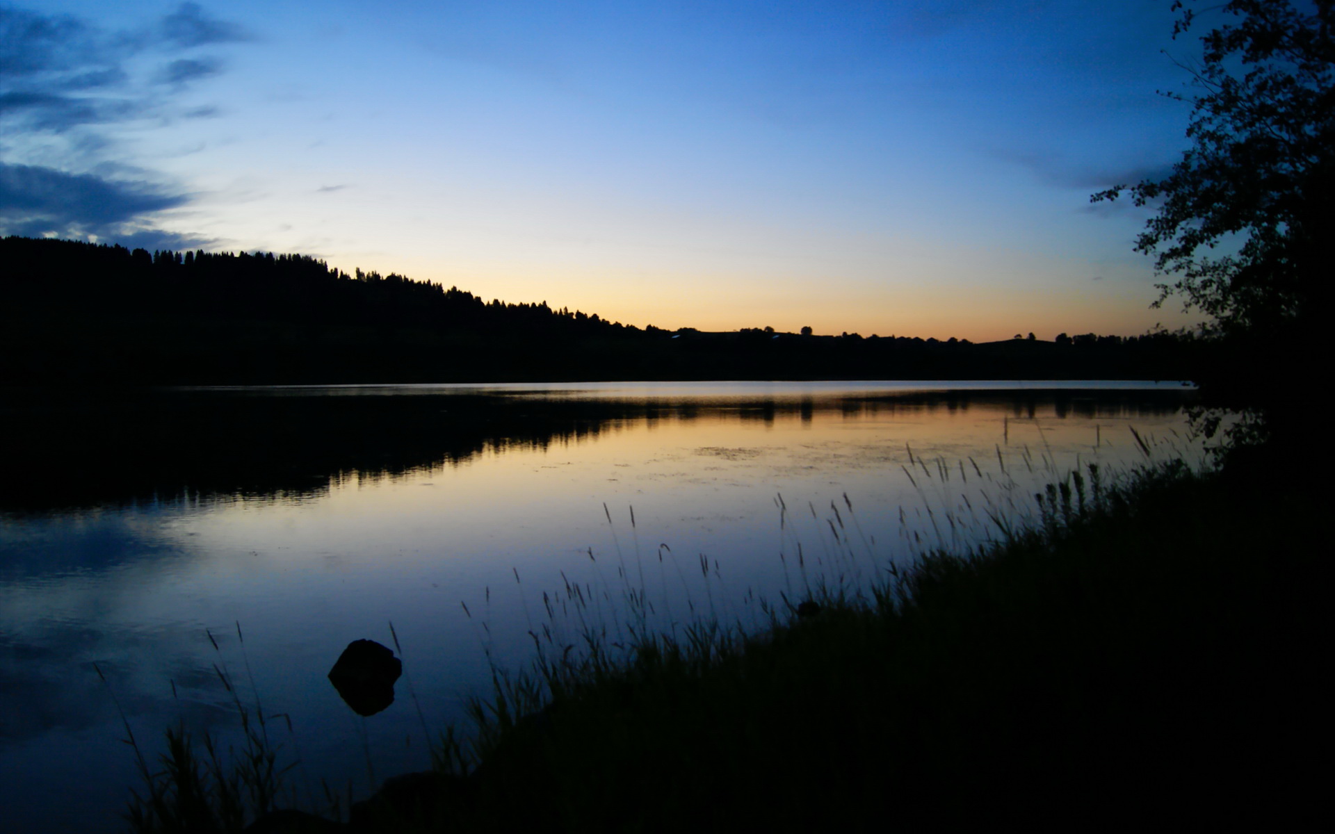 F1街道赛之夜,霍勒迪的舞台越大越强