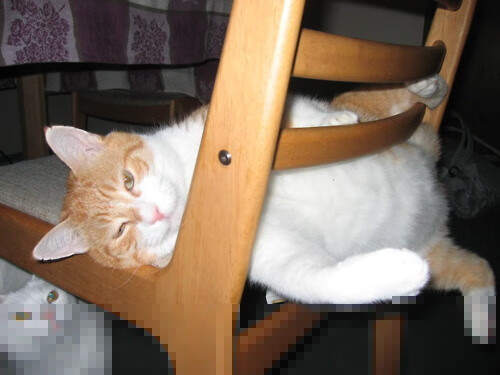 F1年度争冠之夜，布鲁诺在淬火边缘持续制造杀伤