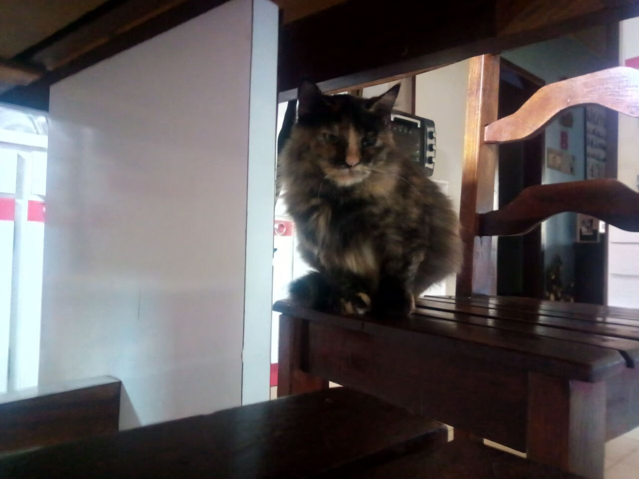 奇才硬仗取胜森林狼,美加墨世界杯焦点战的战术启示