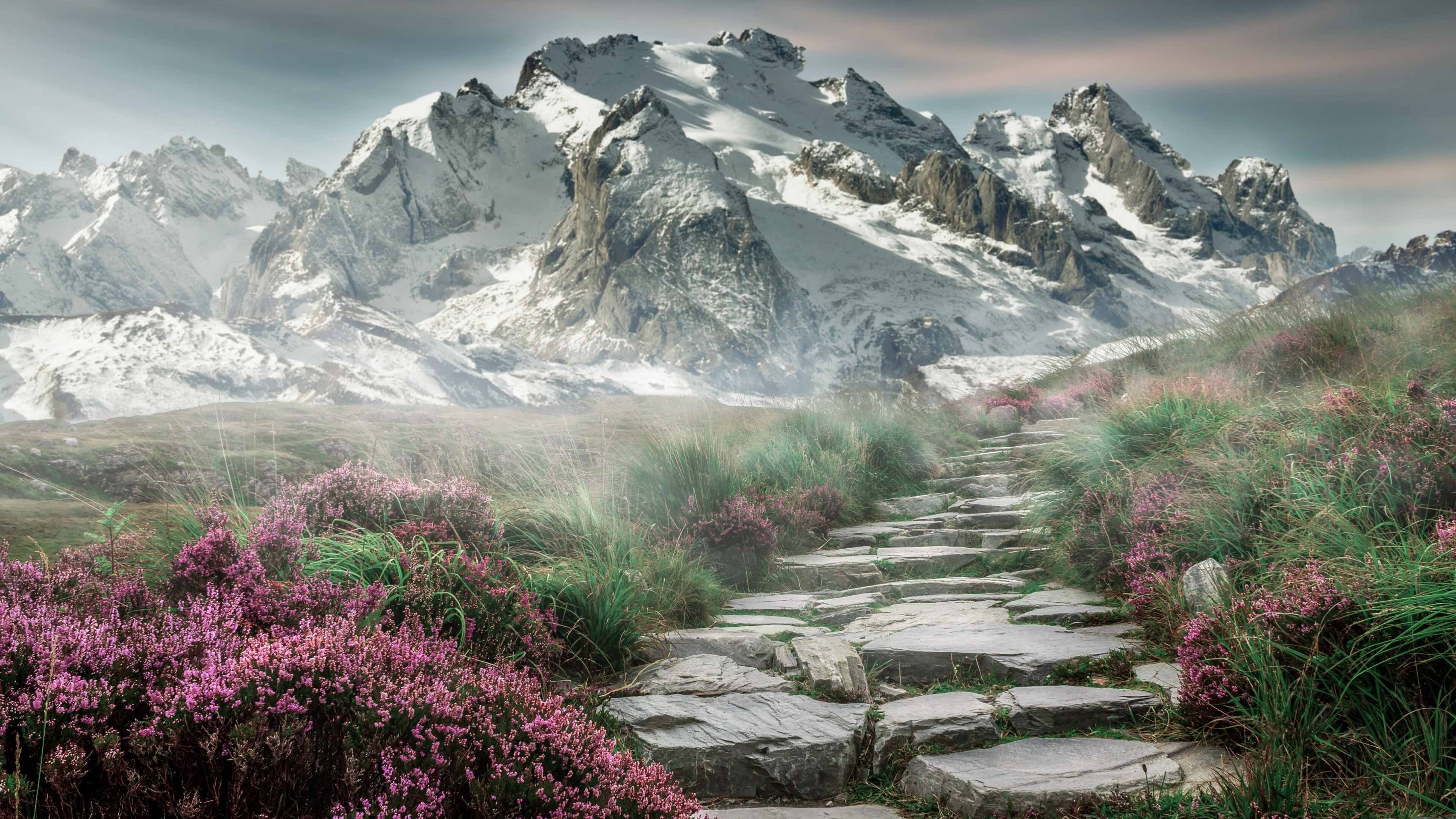 尼克斯强压魔术,布伦森化身关键先生浓眉附体?