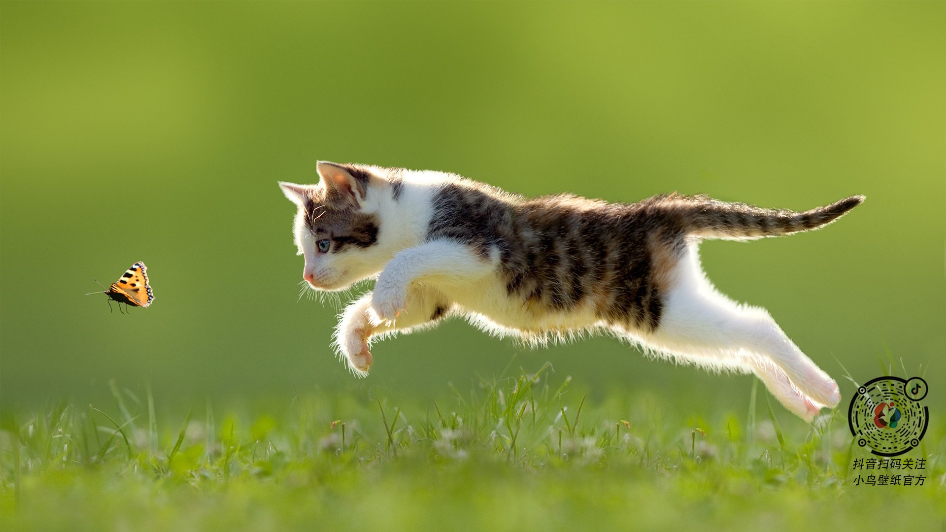 开云体育官网-哈登稳定输出不掉线，尼克斯主场力克灰熊巩固排名