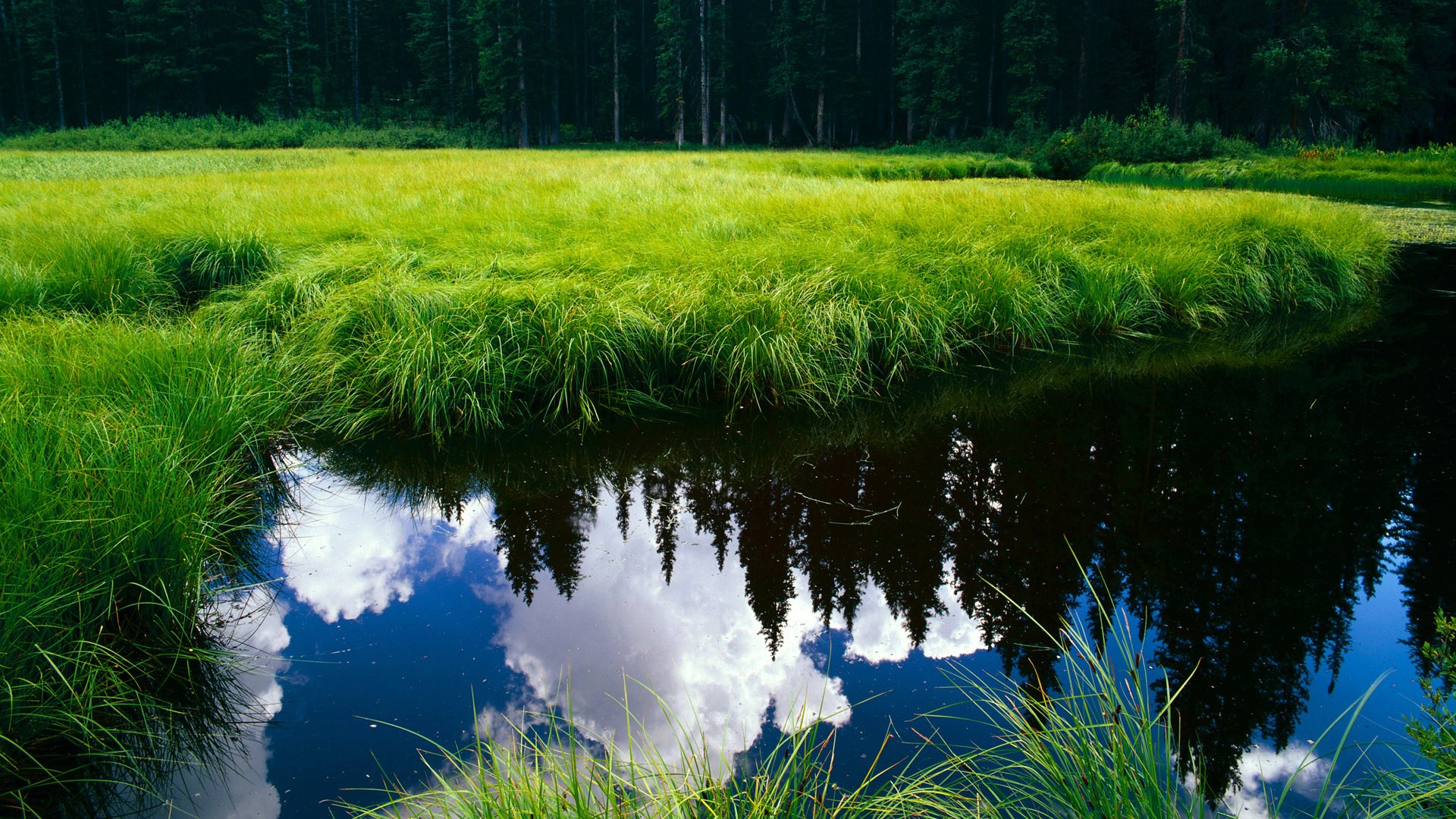 西甲德比式逆袭!吉林草根战队如何正面击溃NBA豪华战舰快船?