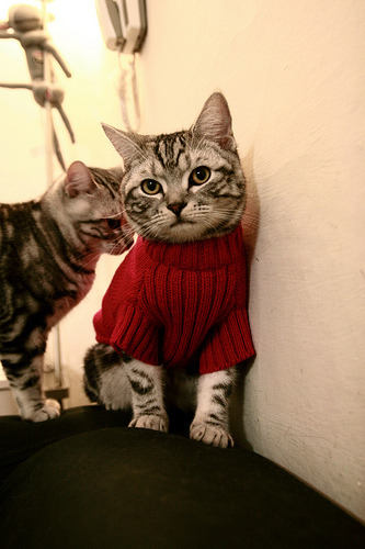 巨星之光,姆巴佩在伊朗对阵冰岛比赛中的价值展现