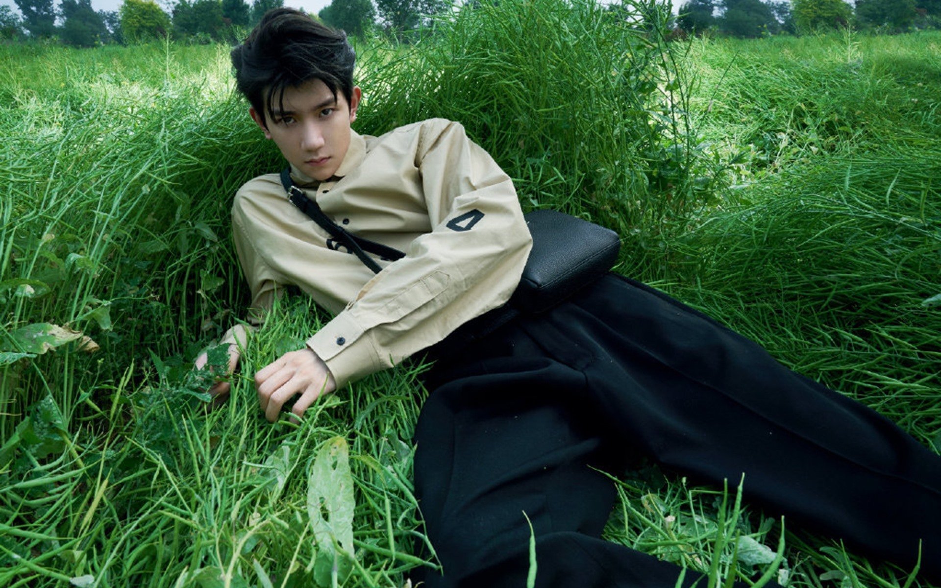 太阳焚尽灰熊,莫兰特逆光独舞