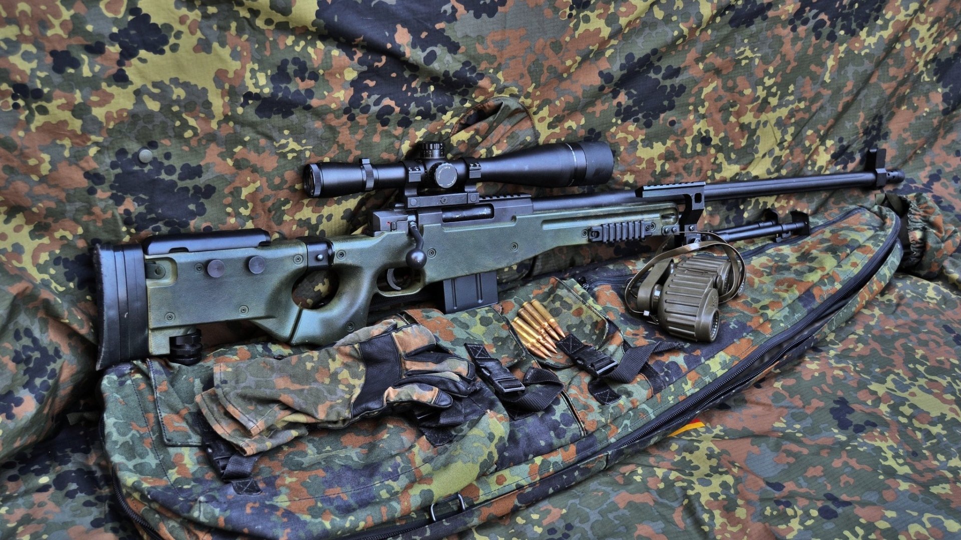 太阳焚尽灰熊,莫兰特逆光独舞