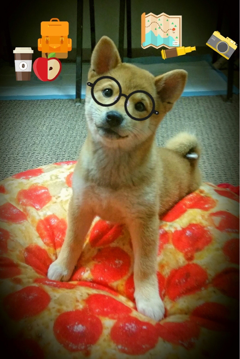 黑马奔腾！卡塔尔沙漠风暴险胜突尼斯，美加墨世界杯首战惊心动魄