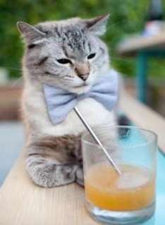 东方稳固西方绽放，山西克敌与英格拉姆之夜—篮球版图上的双重奏