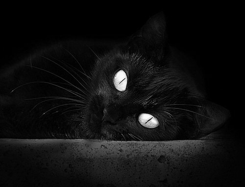 防守艺术,当拉齐奥的铁链锁住哥斯达黎加的利刃