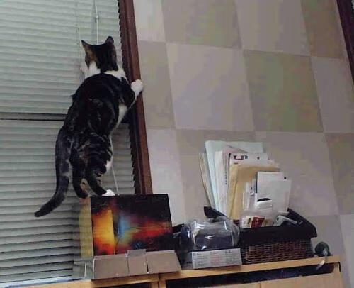 冰与火之歌,爱德华兹绝杀背后,广东队战术铁幕如何让老鹰折翅