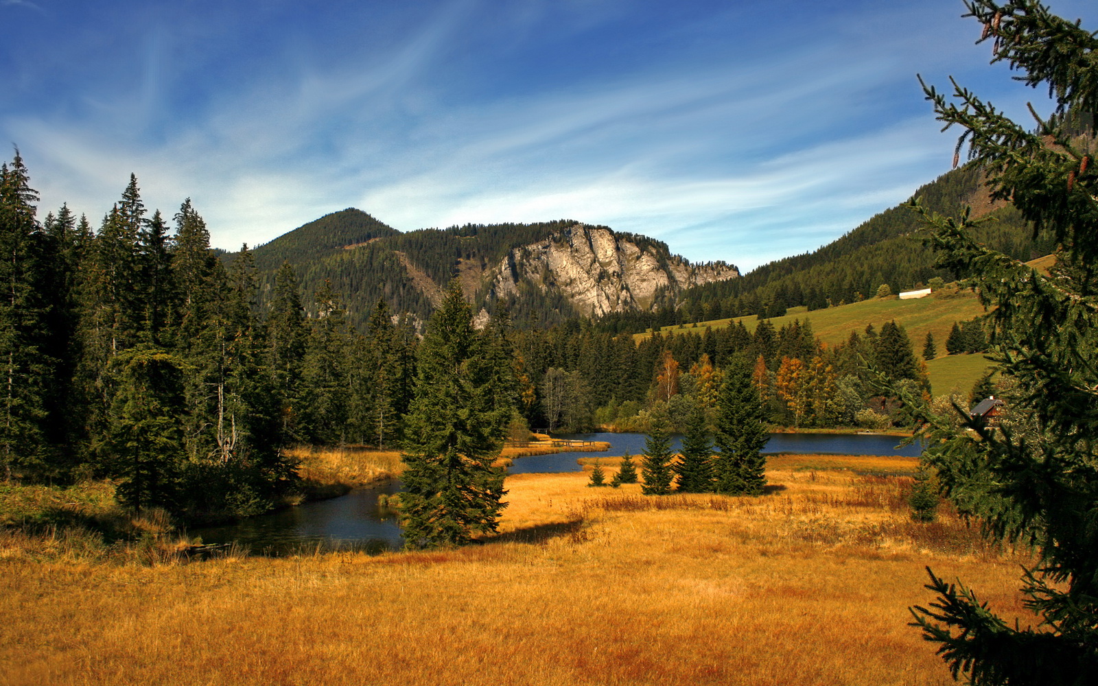 开云下载-冰与火之歌，厄德高利刃出鞘，加拿大掀翻桑巴巨人