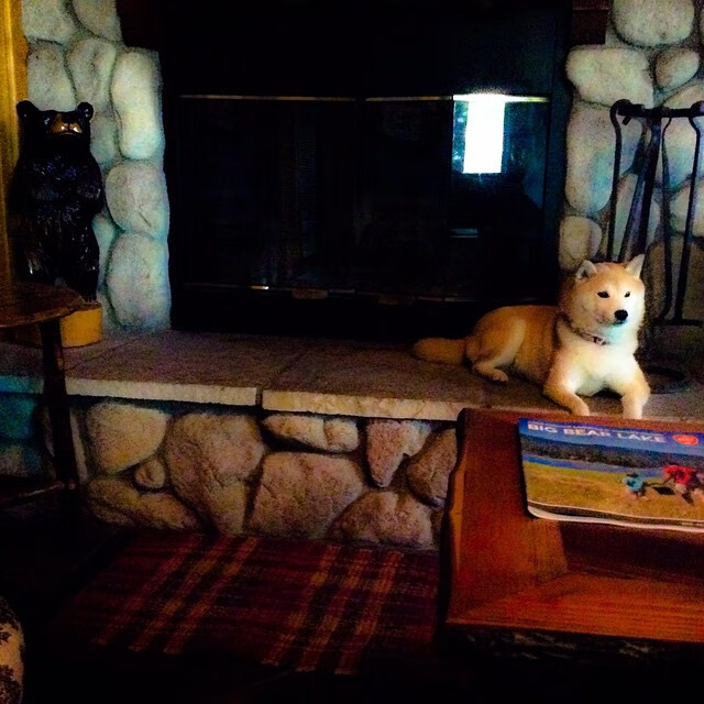 开云体育官网-哥斯达黎加飓风掀翻塞维利亚堡垒，弗拉霍维奇铸就攻防转换不朽核心